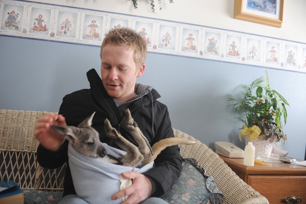 University alumnus Christian Lilienthal pets his eight-month old kangaroo Bindi Sunday at his family farm in Arlington, MN. Lilienthal hopes to utilize his agricultural education degree by using his exotic pets for educational purposes.