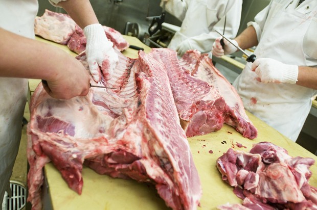 Jason Ertl, left, cuts ribs off a pig Wednesday at the Andrew Boss Lab in St. Paul.