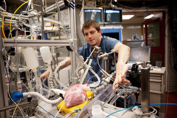 Bio Medical PHD student Chris Rolfes works on an experiment Tuesday in the Visible Heart Laboratory in the Mayo Building. 