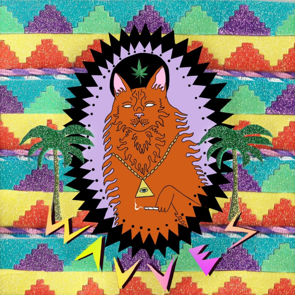 Wavves: Don’t believe the hype