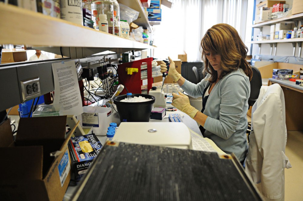 Dr. Tara Krosch works in the University Medical School’s pancreatic cancer research lab in Moos Tower Wednesday.  The lab is supervised by Dr. Ashok Saluja, professor and vice chair of research in the Medical School’s department of surgery.   