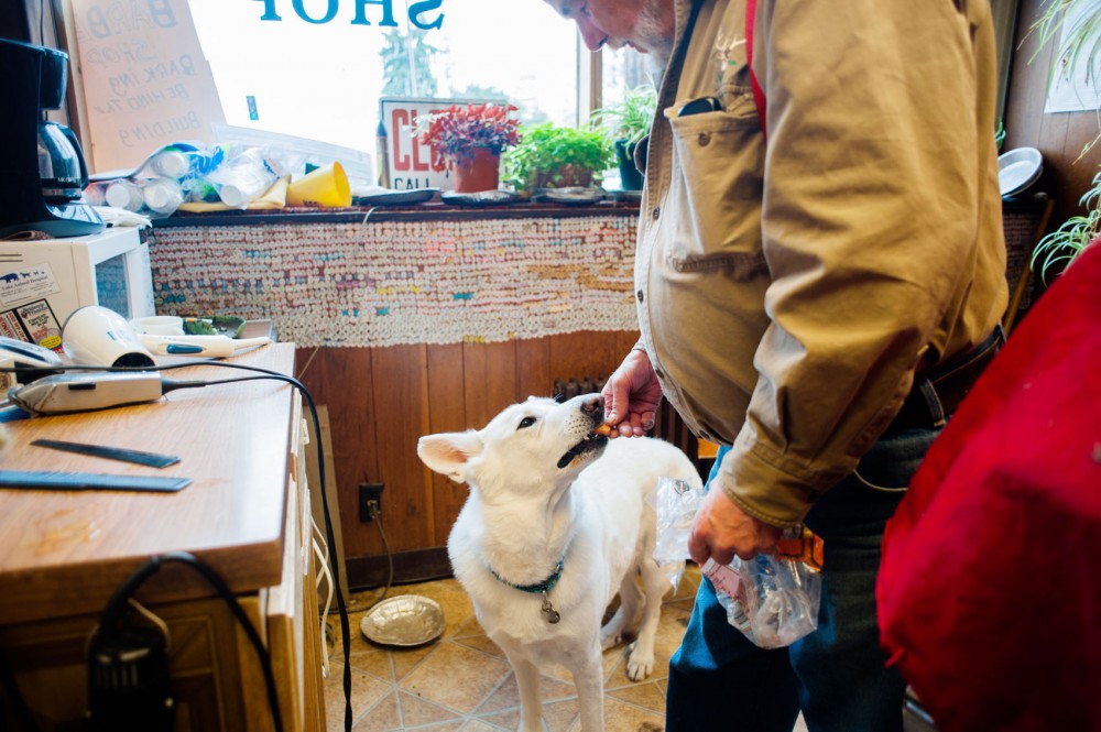 Pete Lebak gives a regular’s dog a treat while his owner waits for his turn in the chair.