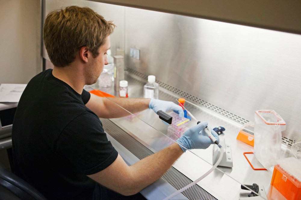 Lab technician, Dennis Webster, continues research at Recombinetics lab in Minneapolis. Recombinetics in currently moving research to pigs for studies in cancer.