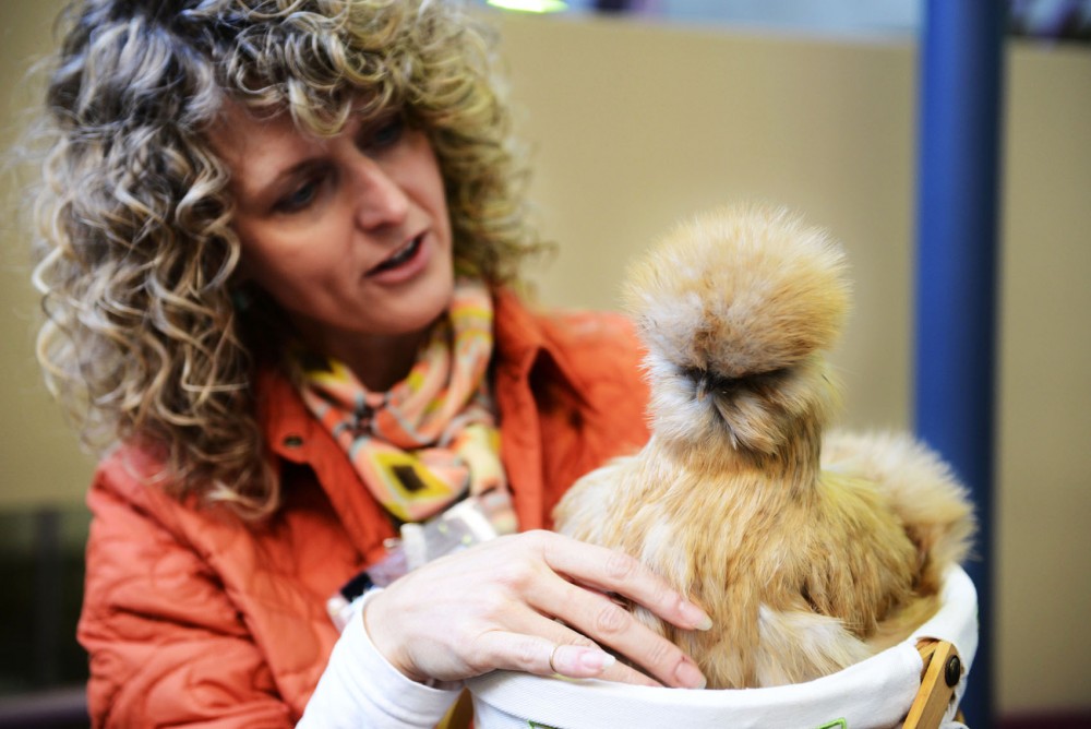 Tanya Bailey from the Animal-Assisted Interaction Programs holds Woodstock, a therapy chicken, Monday at the Learning and Environmental Sciences building in St. Paul.