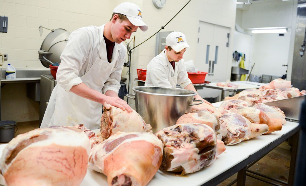 Seniors Jacob Achen and Kyle Mathews rub a brown sugar cure on hams at the Meat Lab on Wednesday, March 13, 2013, at the Andrew Boss Laboratory/Meat Science building. 