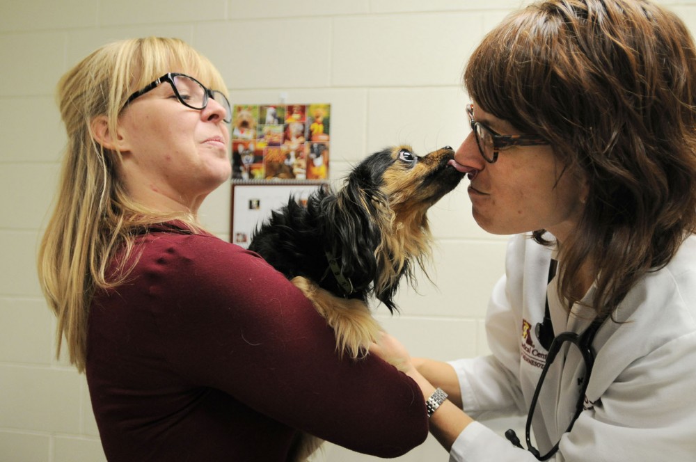 University employee Amy Palmer has her dog Finnegan examined by General Practice Clinician Kristi Flynn at the Veterinary Medical Center on St. Paul Campus.