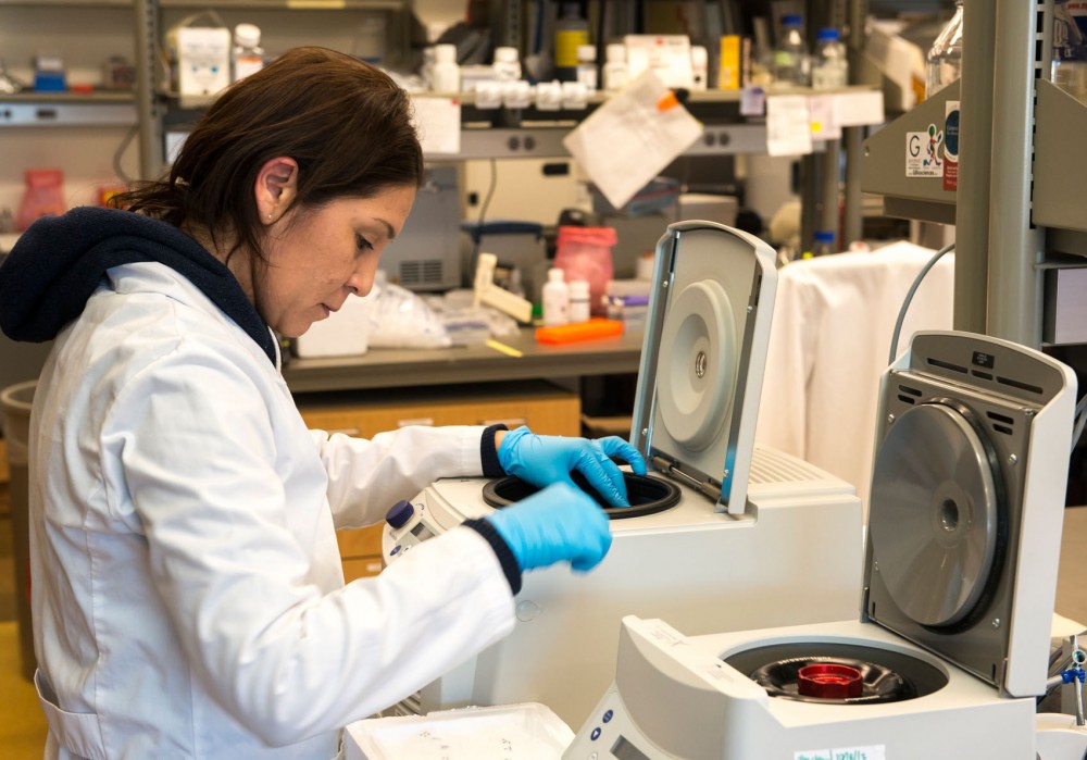 Researcher Claudia Fernandez places samples into a certerfuge at the Schleiss Lab.  With parental consent, the lab has performed studies on infant blood spots.