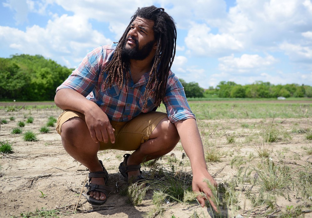 Graduate student in the applied plant science program Clemon Dabney III observes his crops in one of his plots on St. Paul campus. Dabney grows several varieties of grasses and hybridizes them to observe various favorable phenotypic differences.