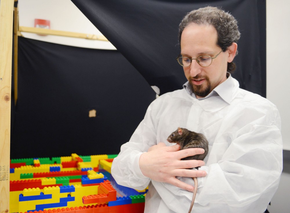 Researcher and neuroscience professor David Redish poses with one of his test subjects in front of a lego maze that is part of current behavioral studies with rats, at his lab in the molecular biology building on Thursday.
