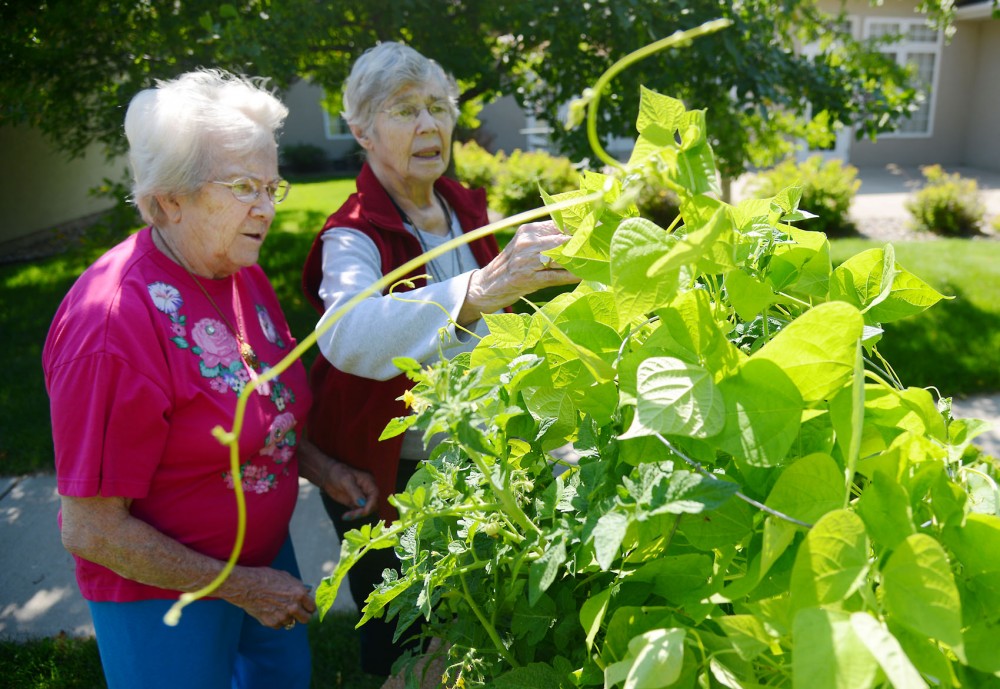 Residents Ira Eberling, left, and Marlys Lowe examine the progress of their community garden at Emerald Crest Assisted Living & Memory Care in Burnsville on Monday afternoon.