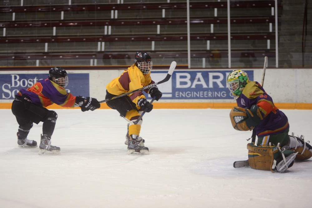 Pi Kappa Alpha and Sigma Phi Epsilon square off in the final of the Lakes and Legends hockey tournament on Saturday, Feb. 4, 2017 at Ridder Arena. 

