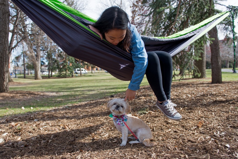 Alkyna Ho sits on her in hammock, as dog JinJin stays close by her side.