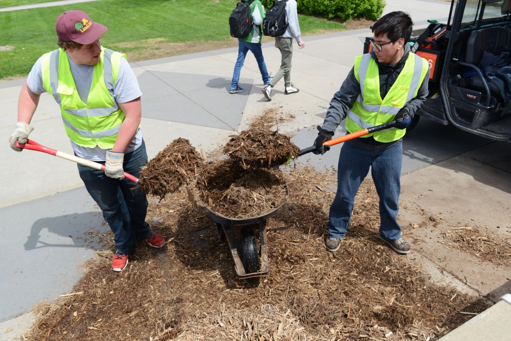 Asian Languages and Literatures and Physiology freshman Jacob Miller, left, and Microbiology and Biochemistry sophomore Tanoa Thome spread mulch outside Coffman Memorial Union on May 2, 2017. 