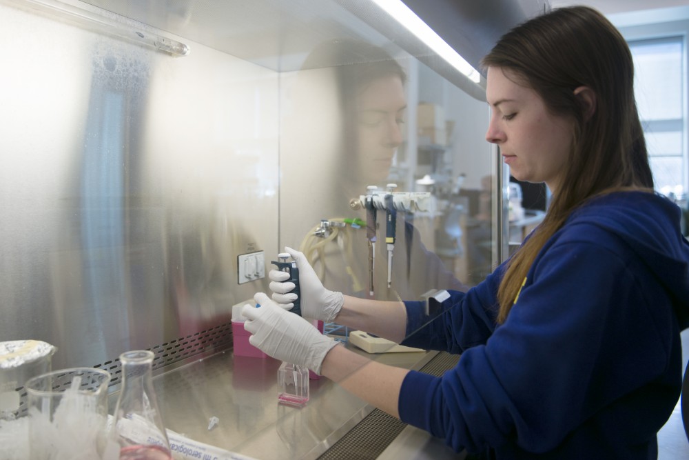 University of Minnesota alumna and researcher Mariah McMahon prepares media that will house cells on Monday, June 26. The Odde Lab, run by Dr. David Odde, researches cell behavior as applied to brain cancer progression, including with tumor cells from surgical cancer patients.