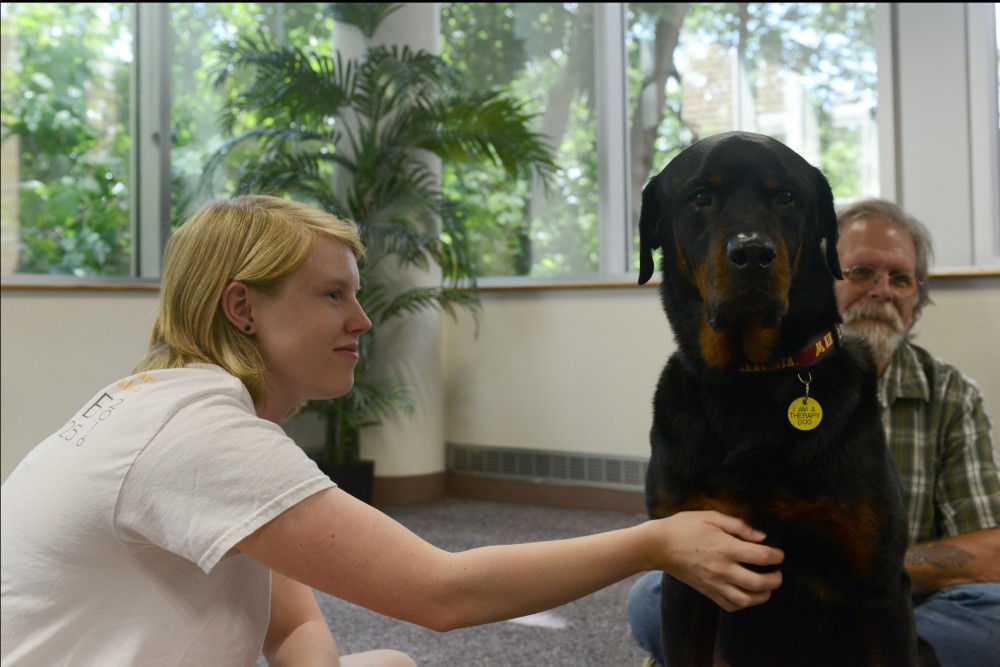 The University of Minnesota PAWS program expanded its hours for the summer session. PAWS Program Assistant McKenna Adler, who studies Animal Science at the University, pets Andy the dog at Boynton Health Services on Thursday, June 15, 2017