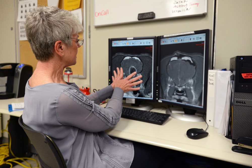 Liz Pluhar sits in front of a computer showing an MRI of a tumor found in the frontal lobe of a Boston terrier before and immediately after surgery on Wednesday, Jan. 17.