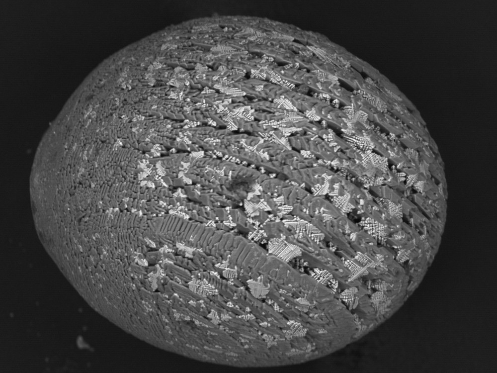 An image of a micrometeorite as seen with a microprobe. 