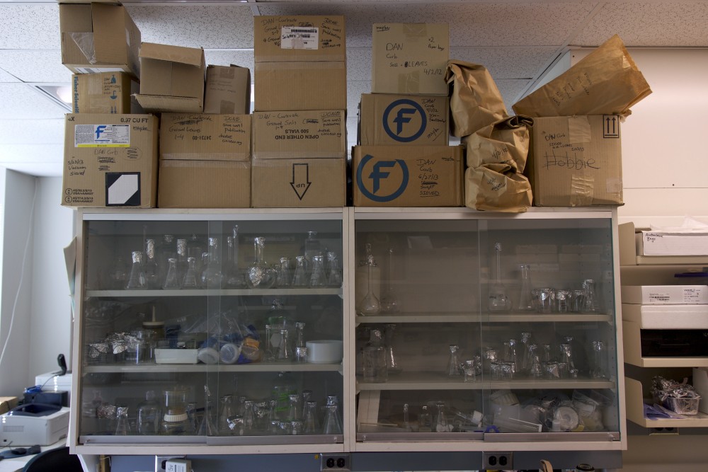Biomass specimens sit balanced above lab equipment in the Ecology Building on Thursday, Mar. 1. 