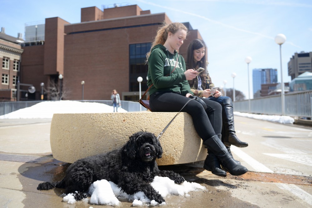 Erin Ortiz, left and Alexis Garoufalis sit down for a break during a Pokemon Raid while their dog Obi cools off in a pile of snow. 