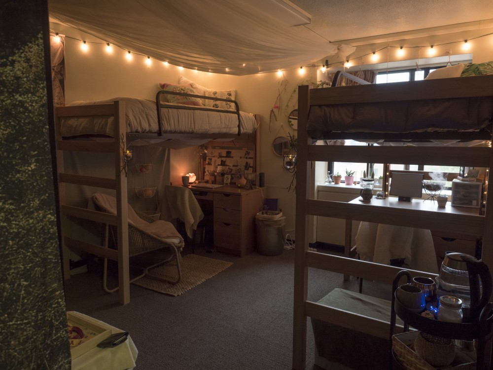 Freshmen roommates Callianne Jones and Stefanie Amundsen, both art majors, decorated their dorm room to reflect their love of nature.