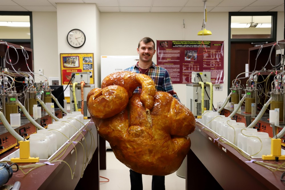Graduate researcher Trent Dado poses for a portrait holding a real, dried cow stomach on Friday, Oct. 26 at Haecker Hall on Saint Paul campus. Dado is working on research that uses enzymes to mimic cow stomachs with the goal of improving the animals digestive systems.