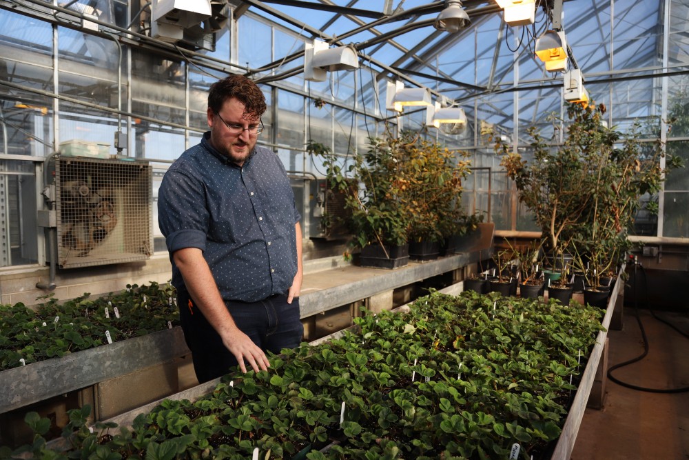 Horticultural Science Ph.D candidate Seth Wannemuehler explains the science behind fruit breeding on Thursday, Nov. 15 on Saint Paul campus.