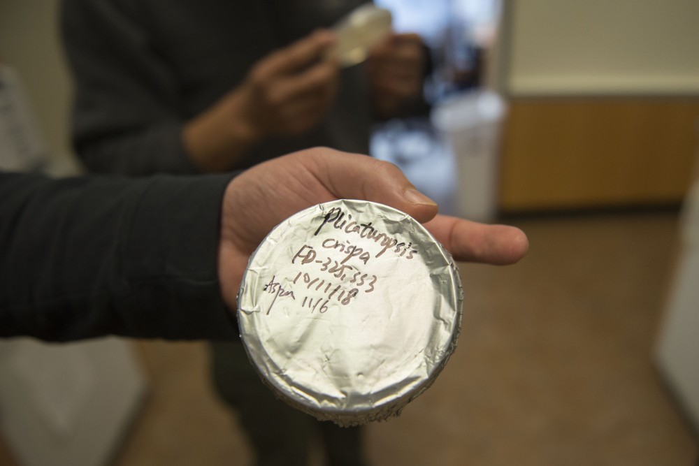 Jonathan Schilling, professor in the plant and microbial biology department, holds a jar containing a white rot wood degrading fungi called plicaturopsis crispa at the Cargill Building on Monday, Dec. 10 in Saint Paul.