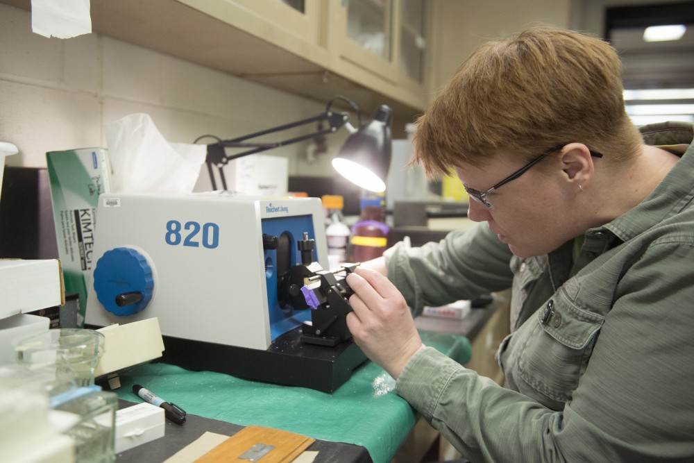 Graduate student Kat Sweeney works in her makeshift lab on Friday, Jan. 25 at Christensen Laboratory in St. Paul. The federal government shutdown has forced Sweeney to temporarily move her lab. 