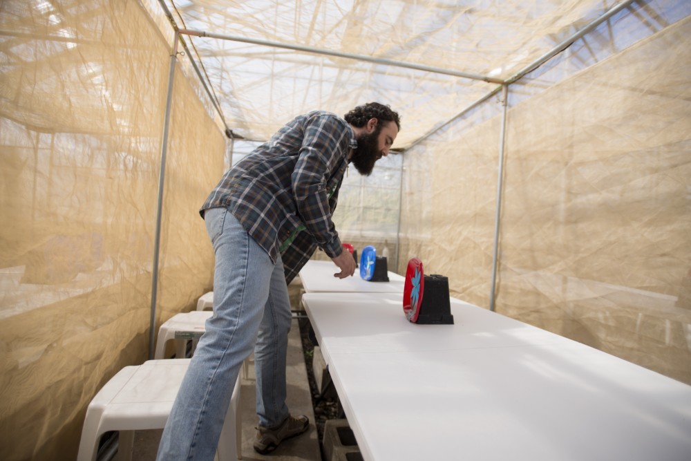 Lab supervisor Temo Balakhashvili shows a net where bumblebee colonies will live in a greenhouse on Tuesday, March 26 in St. Paul. Balakhashvili has been studying the effects on bumblebees of two commonly used pesticides, neonicotinoids and acelepryn. Neonicotinoids are advertised as bee-friendly but have been shown to restrict bee movement and production, giving them a sort of high.