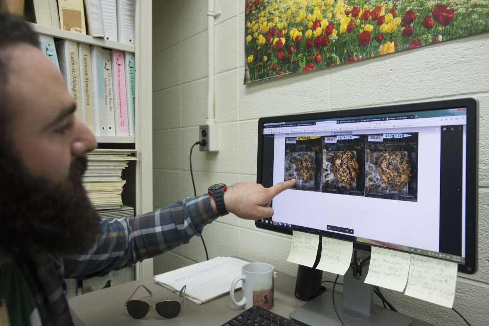 Lab supervisor Temo Balakhashvili points out photo progression from a past experiment on bumblebees in Hodson Hall on Tuesday, March 26. Since November 2018, Balakhashvili has been studying the effects on bumblebees of two commonly used pesticides.
