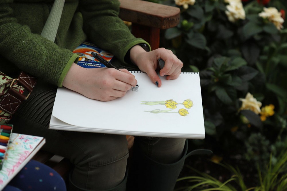 Olive Hart draws flowers from the Sunken Garden at the Como Park Zoo & Conservatory on Thursday, April 4.