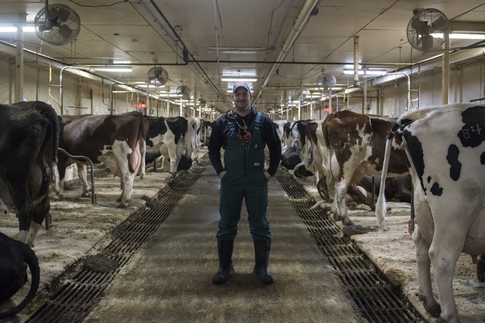 Bovine blood lab technician Keith Yorek poses for a portrait at the Dairy Cattle Teaching Research Center on the Saint Paul campus on Thursday, April 4. Yorek is a Grad Student in the Doctor of Veterinary Medicine program. 
