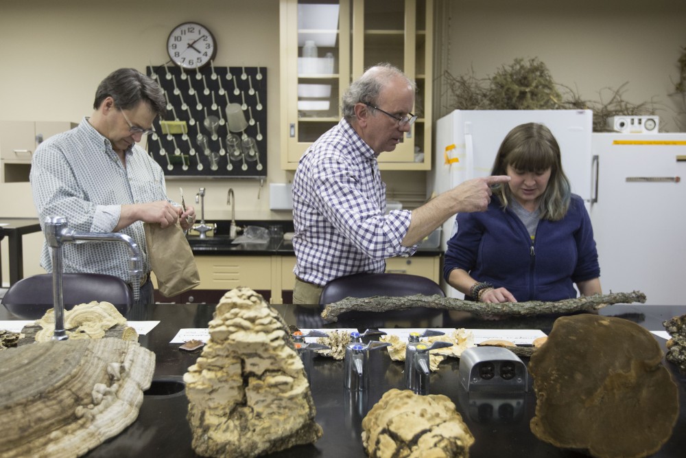 Professor Bob Blanchette interacts with students as they study wood and fungi samples after Diseases of Forest and Shade Trees class on Wednesday, April 17 in Stakman Hall.
