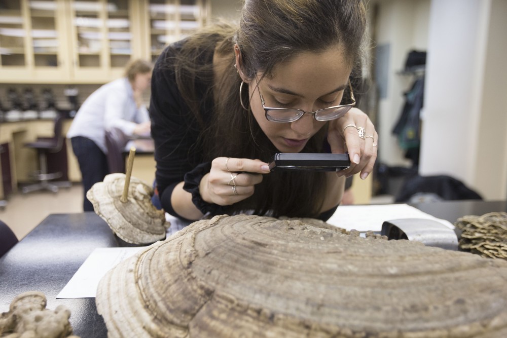 Maria Tricas examines a specimen after Diseases of Forest and Shade Trees class on Wednesday, April 17 in Stakman Hall. Tricas is an agricultural engineer who came to the United States from Barcelona, Spain, to complete an internship program in Massachusetts and study at the University.
