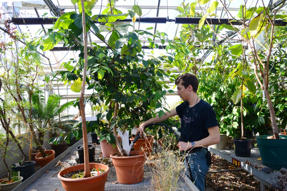 9:57 a.m.
Davis Redmond waters plants at the College of Biological Sciences Conservatory. 