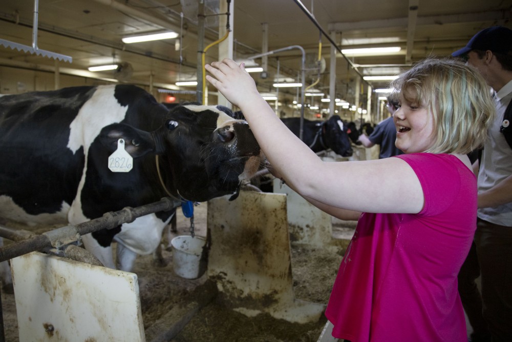 2:44 p.m.
Josie Blake pets a cow during a tour of the dairy barns on St. Paul campus.