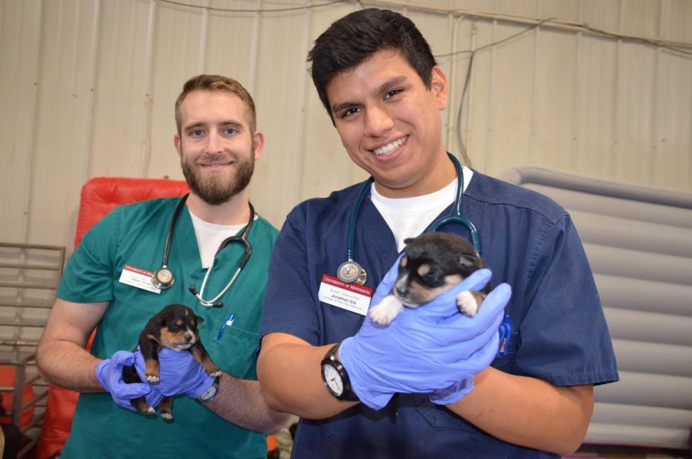Members of the Student Initiative for Reservation Veterinary Services pose for a photo. The University organization travels to Native American reservations across Minnesota to provide free veterinary services.