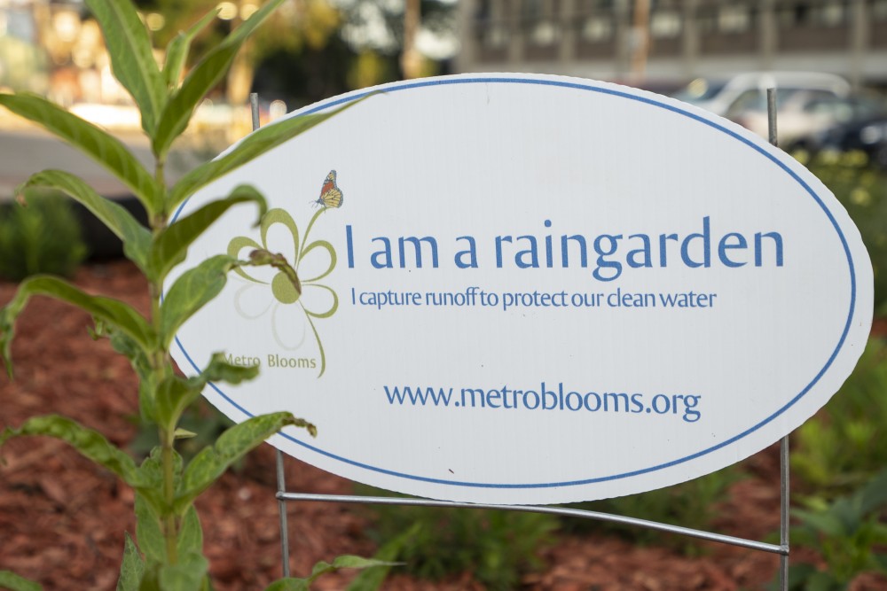 A rain and pollinator garden that was planted in the Riverside Plaza area is seen on Sunday, June 30.