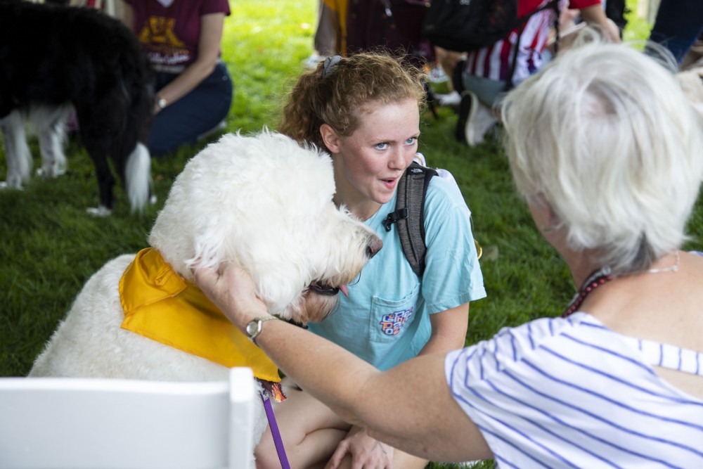Students enjoy petting animals as part of the PAWS program which helped celebrate the inauguration of President Joan Gabel on Friday, Sept 20, 2019. (Jasmin Kemp / Minnesota Daily)