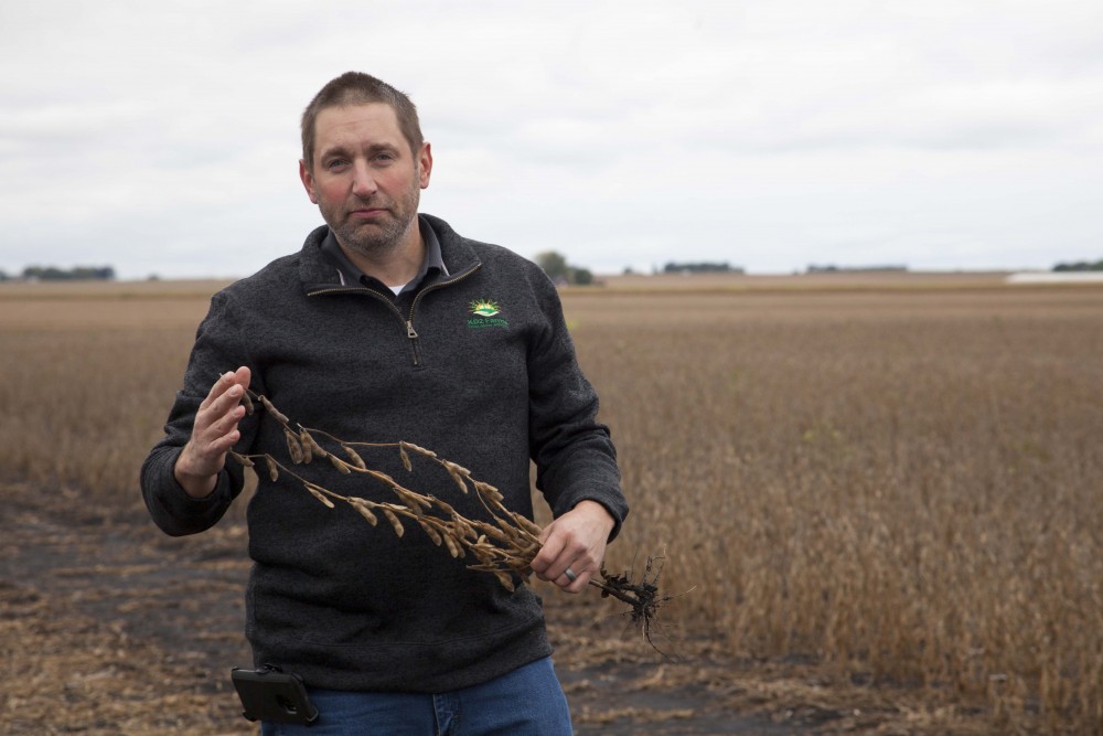 Kameron Duncanson, a farmer with the KD2 Farms Partnership and a University of Minnesota alumni, uproots a soybean plant to point out its characteristics on his farm in Mapleton, Minnesota on Friday, Oct. 4, 2019. He says that the abundance of rain this growing season has made harvesting more difficult, but that he and other farmers are not unfamiliar with these challenges. 