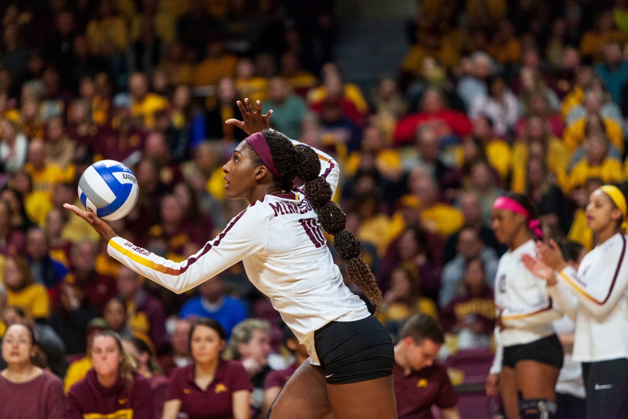 Opposite Hitter Stephanie Samedy prepares to serve the ball at the Maturi Pavilion on Thursday, Nov. 14, 2019. The Gophers ended the night with a 3-1 loss against the Badgers. 
