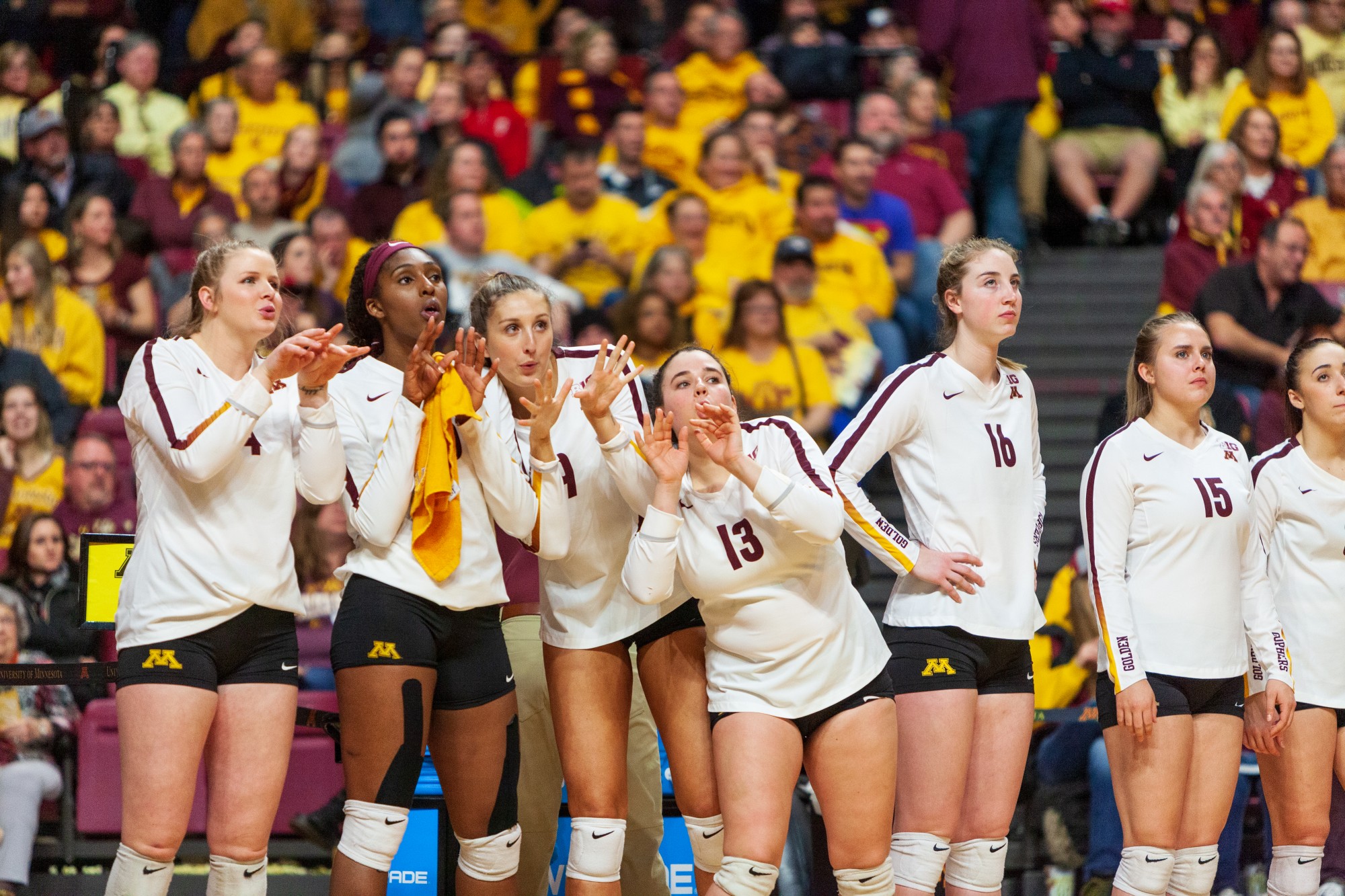 The Gophers watch from the sidelines at the Maturi Pavilion on Thursday, Nov. 14. They ended the night with a 3-1 loss against the Badgers. 