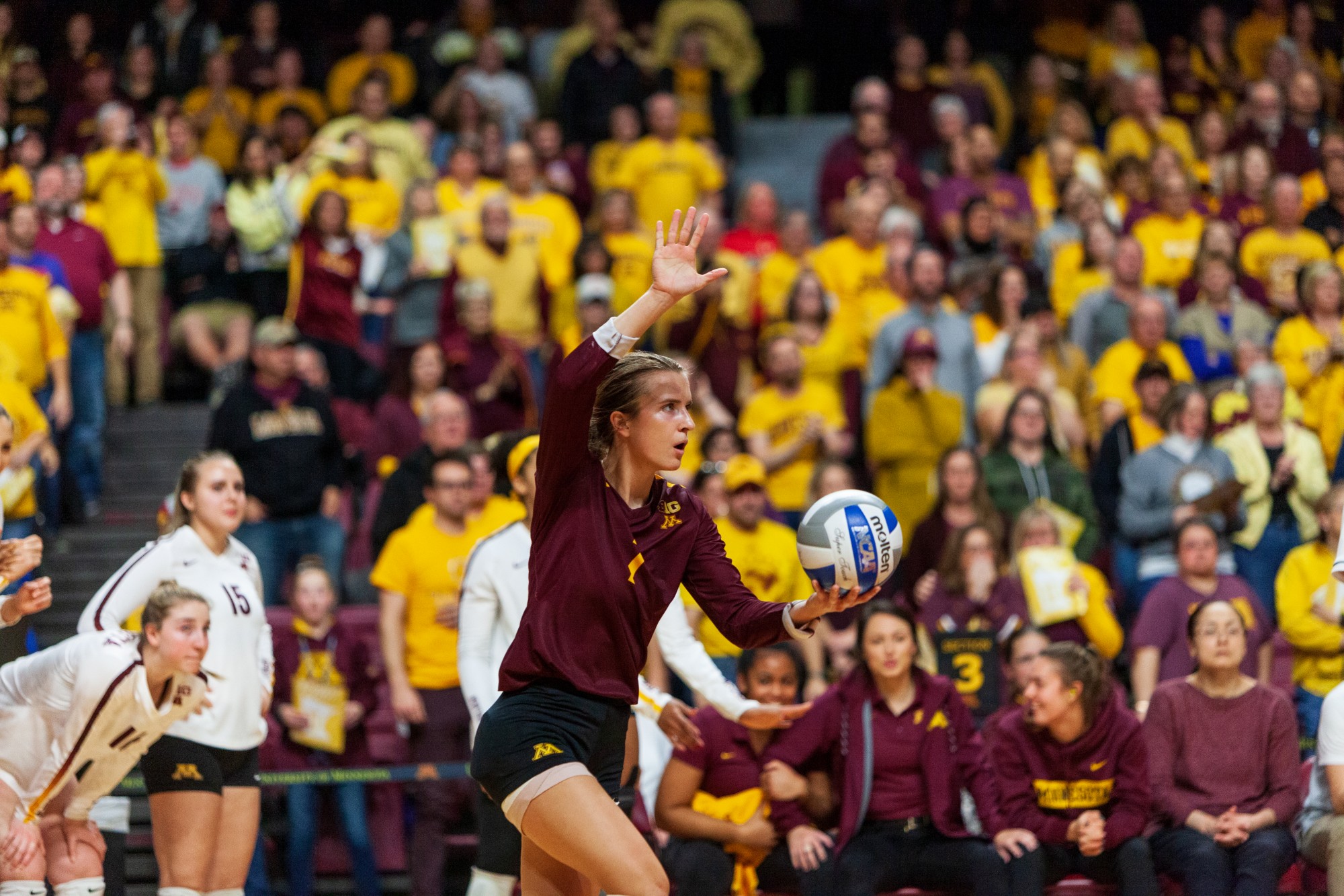 Libero CC McGraw prepares to serve the ball at the Maturi Pavilion on Thursday, Nov. 14. The Gophers ended the night with a 3-1 loss against the Badgers. 