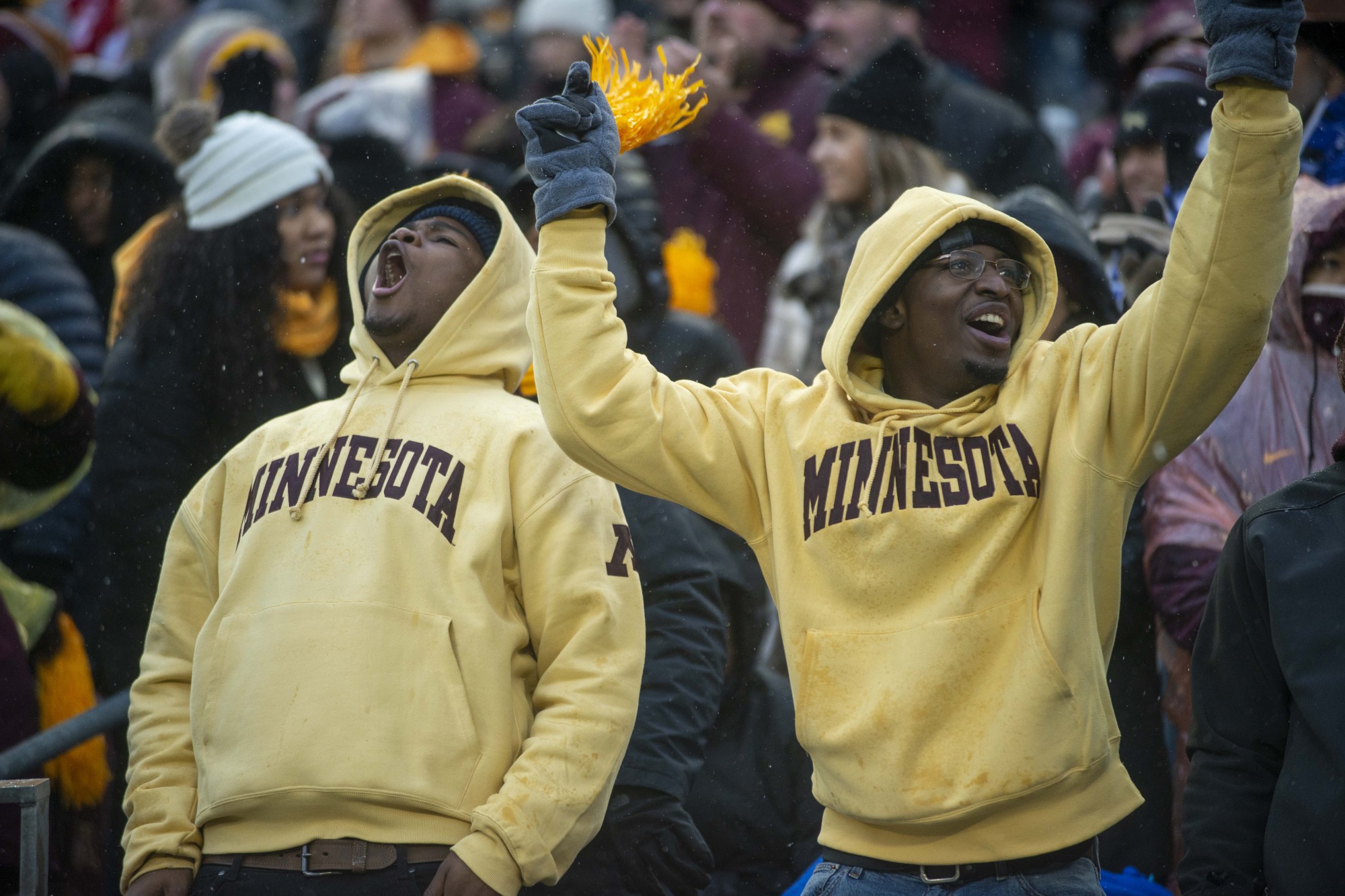 Gopher fans cheer during the game against the Badgers at TCF Bank Stadium on Saturday, Nov. 30. 