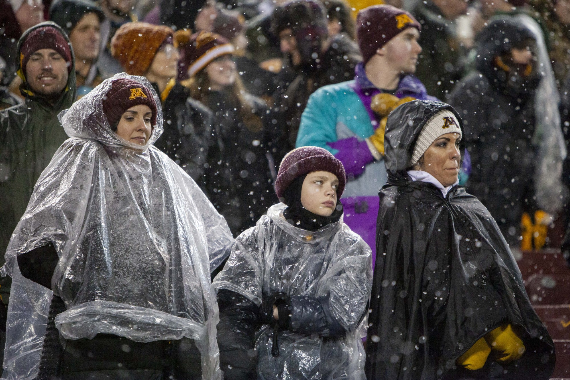 Distraught Gopher fans watch during the game against the Badgers at TCF Bank Stadium on Saturday, Nov. 30. Wisconsin won 38-17 reclaiming Paul Bunyans Axe. (Sydni Rose / Minnesota Daily)