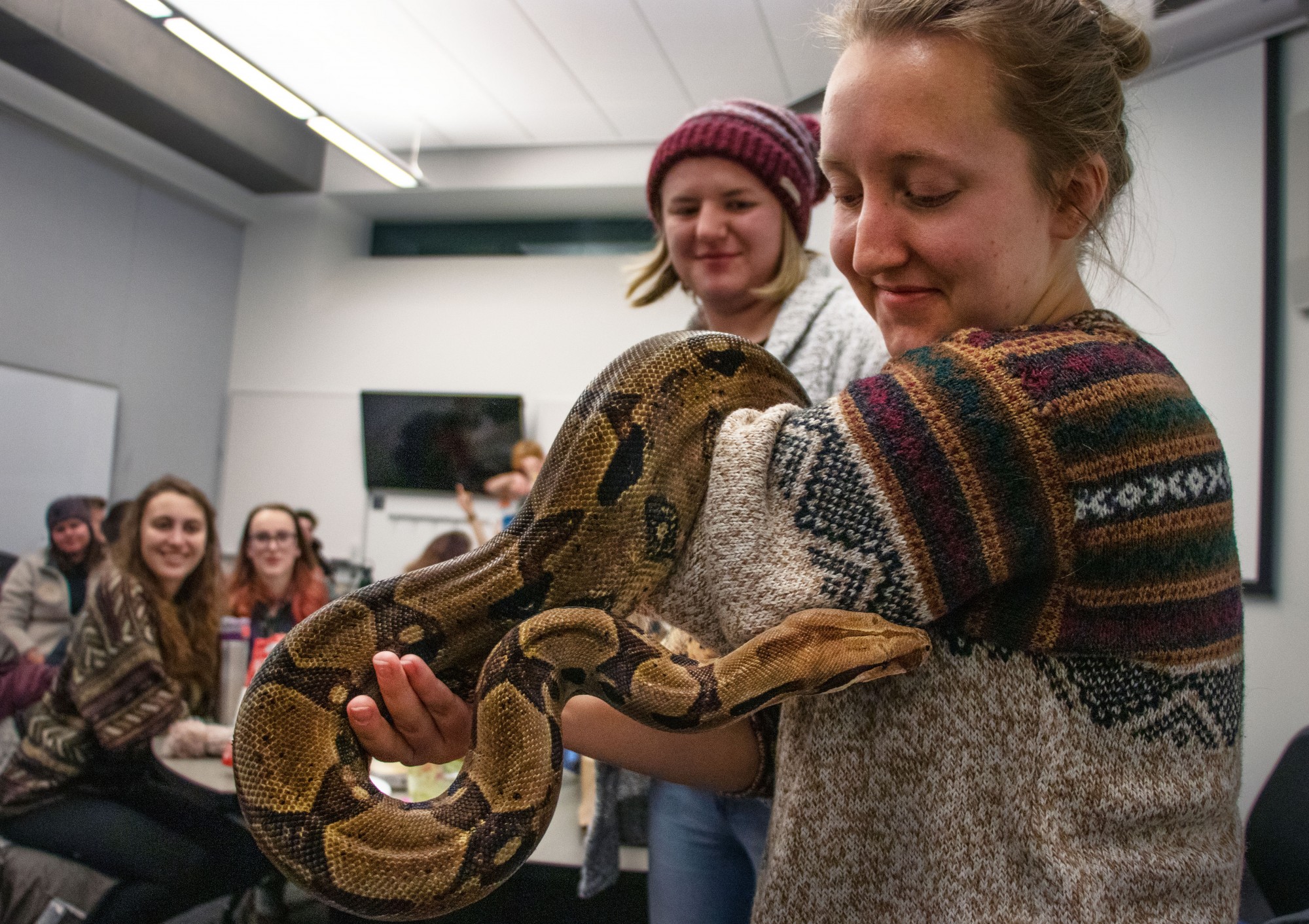 Ecology Club president Kristin Robinson, right. holds Bruce the boa constrictor with club officer Carrie Thom, center, as Sara Crader and Annika Herdtle, left, look on at the Ecology Club’s Valentine’s Day event in Bruininks Hall on Thursday, Feb. 13. The event introduced students to animals that “nobody loves” including snakes, frogs, and scorpions. 