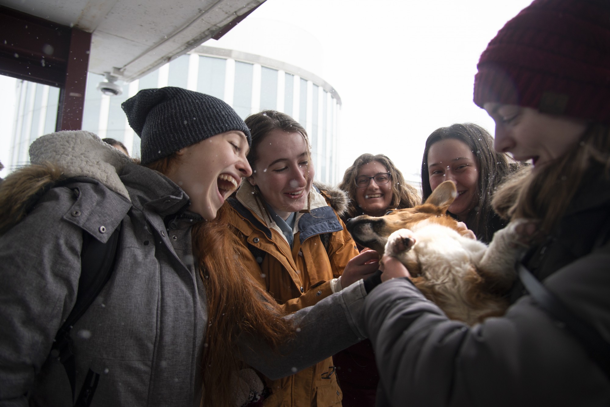 A crowd gathers on the Washington Avenue Bridge to greet Butter the Chemistry Corgi on Friday, Jan. 30. Bach Nguyen, Butter’s owner, regularly brings the 6 month old dog to his chemistry TA office hours and runs an instagram account, butter_the_chemistry_corgi. 