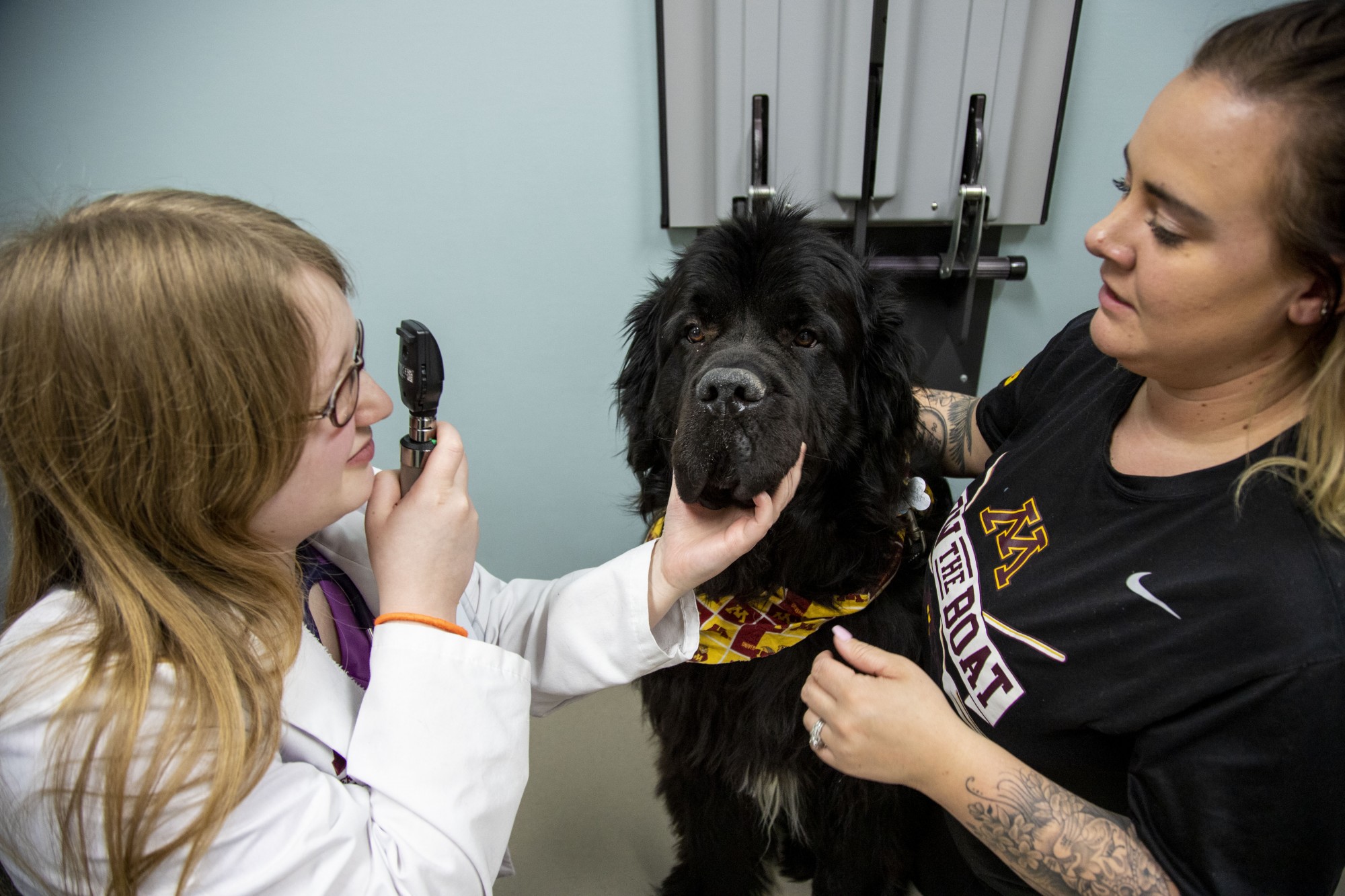 Veterinary Student Cailey Malnarick, left, performs a check-in exam on Noodle with assistance from Veterinary Technician Sydney Gagnon, right, at the Veterinary Medical Center in St. Paul on Friday, Feb. 21. 