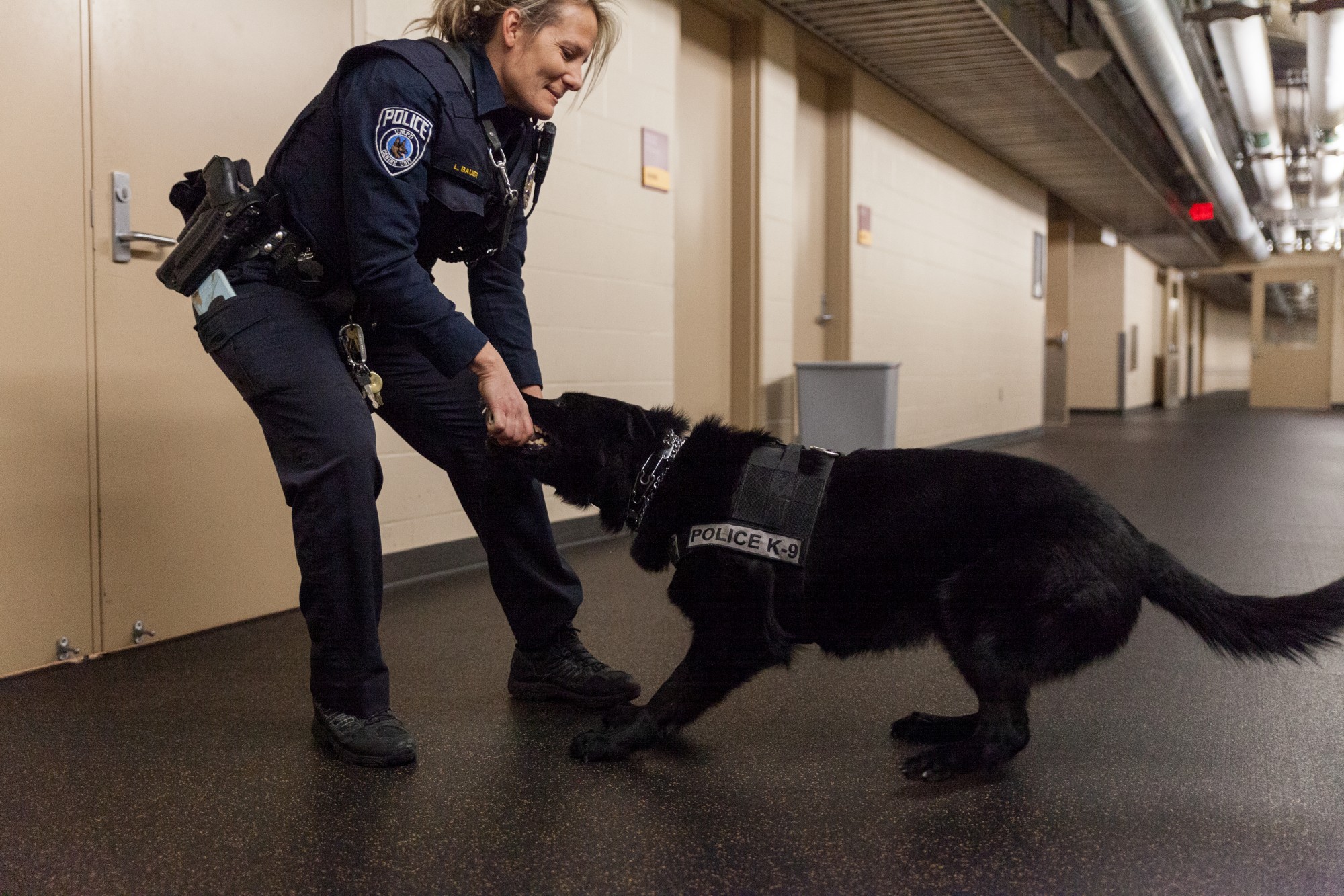 K-9 Patrol Officer Lara Bauer rewards her dog Rio with a toy at TCF Bank Stadium on Tuesday, Feb. 25. For Rio, this toy is the primary motivation for performing the tasks Bauer gives him.