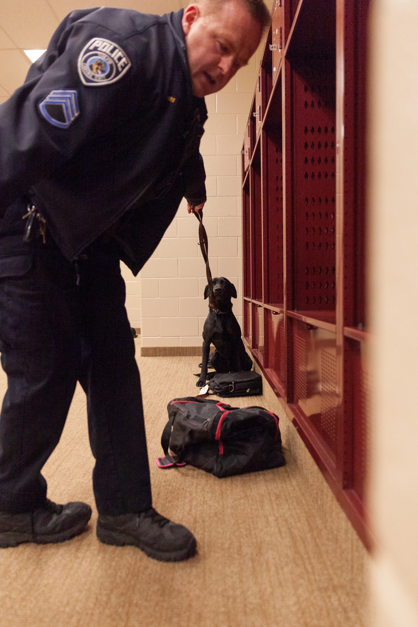 UMPD K-9 Handler Sergeant Ryan Rivers tugs on the lead to demonstrate how his canine, Doc, signals that he has found a potential explosives threat at TCF Bank Stadium on Tuesday, Feb. 25.